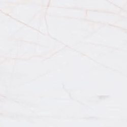 WhatsApp Image 2025-10-07 at 11.06.14_55fadf1c